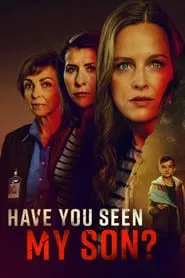 Have You Seen My Son? movie poster
