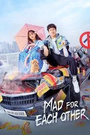 Mad for Each Other tv show poster