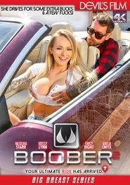 Boober 2 movie poster