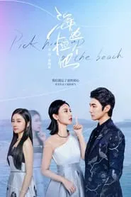 Pick Him Up on the Beach tv show poster