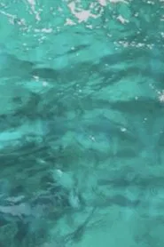 My Bodies movie poster