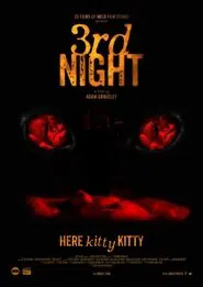 3rd Night movie poster