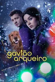 Poster da série Gavião Arqueiro