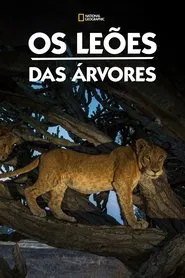 Poster do filme Os Leões das Árvores
