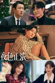 The Sales tv show poster