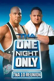 TNA One Night Only: 10 Reunion 2013 movie poster