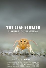 Poster do filme The Leap Beneath