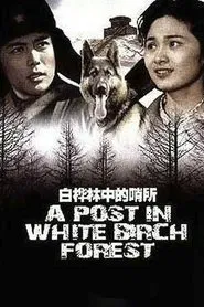 A Post in White Birch Forest movie poster