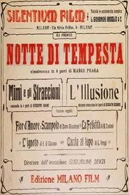 Night of the Storm movie poster