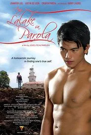 The Man in the Lighthouse movie poster