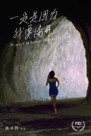 It Must Be Because I Decided to Leave movie poster