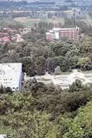 sara reupload movie poster