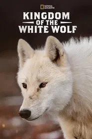 Kingdom of the White Wolf tv show poster