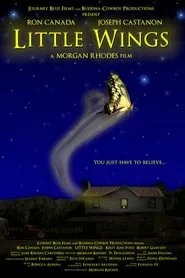 Little Wings movie poster