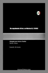 Poster do filme Un vagabundo 24 hrs. en México D.F.