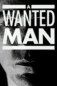 A Wanted Man tv show poster