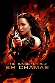 Poster do filme Jogos Vorazes: Em Chamas