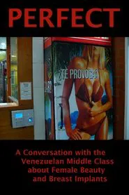 Perfect: A Conversation with the Venezuelan Middle Class About Female Beauty and Breast Implants movie poster