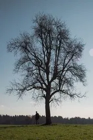 Poster do filme Outside