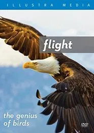 Poster do filme Flight: The Genius of Birds