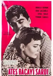 Poster do filme Ateş Bacayı Sardı