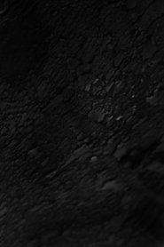 PRECURSOR movie poster