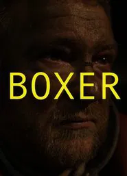 Boxer movie poster