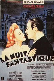 Poster do filme Fantastic Night