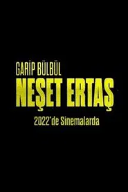 Garip Bülbül Neşet Ertaş movie poster
