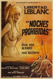 Forbidden Nights movie poster