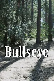Bullseye movie poster