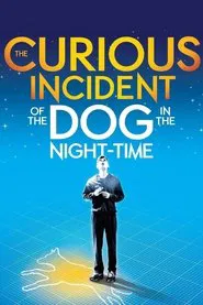 Poster do filme National Theatre Live: The Curious Incident of the Dog in the Night-Time