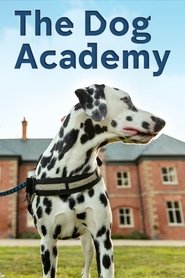 Bad Dog Academy tv show poster