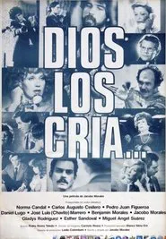 Poster do filme Deus os criou...