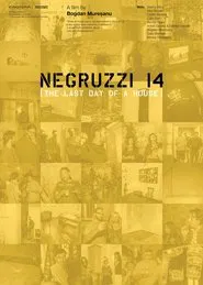 Negruzzi 14 movie poster