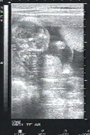 Poster do filme Sea of Time