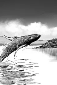 Pixel + Dinamita movie poster