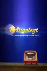 Reingelegt tv show poster