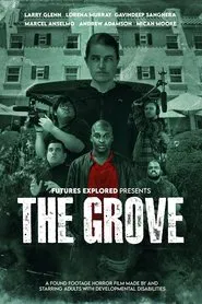 The Grove movie poster