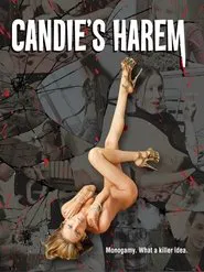 Poster do filme Candie's Harem