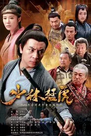 Tiger Kung Fu of Wulin tv show poster