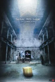 With the Badger on Trial movie poster