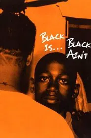 Black Is… Black Ain’t movie poster