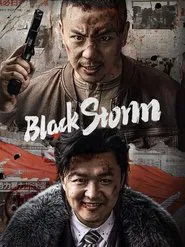 Poster do filme Black Storm