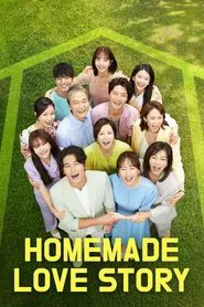 Homemade Love Story tv show poster