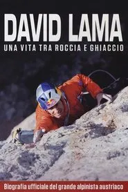 David Lama - Off Limits On Rock and Ice movie poster