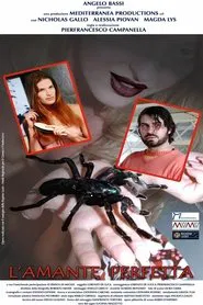 L'amante perfetta movie poster
