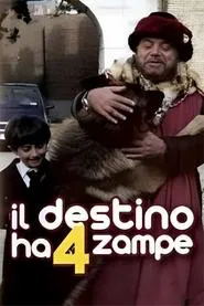Il destino ha 4 zampe movie poster
