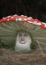 Fly Amanita movie poster