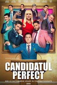 The Perfect Candidate movie poster